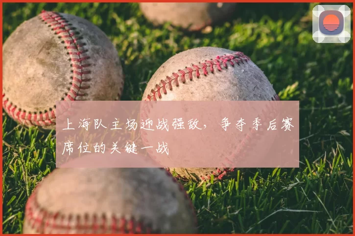 上海队主场迎战强敌,争夺季后赛席位的关键一战
