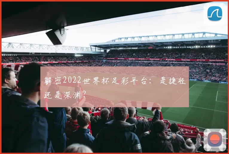 解密2022世界杯足彩平台:是捷径还是深渊?
