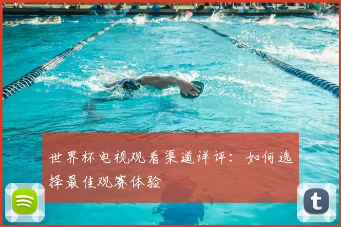 世界杯电视观看渠道详评:如何选择最佳观赛体验