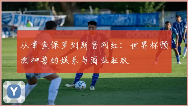 从章鱼保罗到新晋网红：世界杯预测神兽的娱乐与商业狂欢