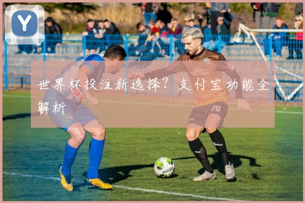 世界杯投注新选择?支付宝功能全解析
