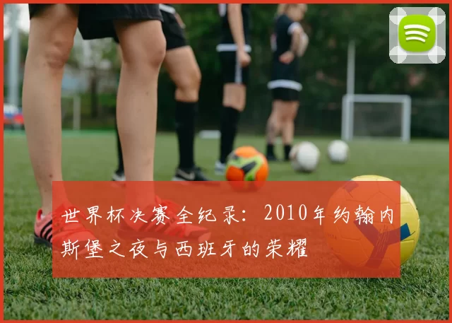 世界杯决赛全纪录:2010年约翰内斯堡之夜与西班牙的荣耀