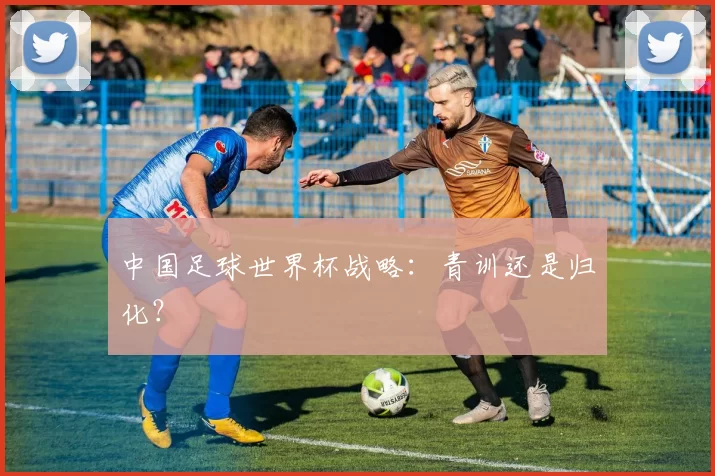 中国足球世界杯战略:青训还是归化?