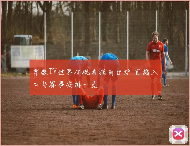 华数TV世界杯观看指南出炉 直播入口与赛事安排一览