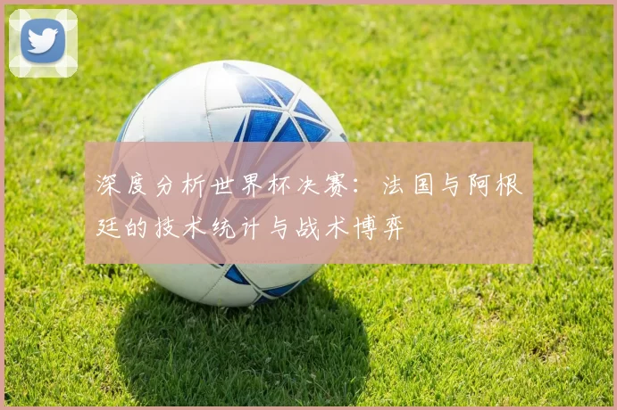 深度分析世界杯决赛：法国与阿根廷的技术统计与战术博弈