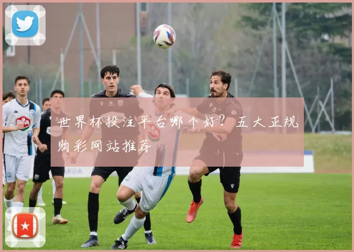 世界杯投注平台哪个好？五大正规购彩网站推荐