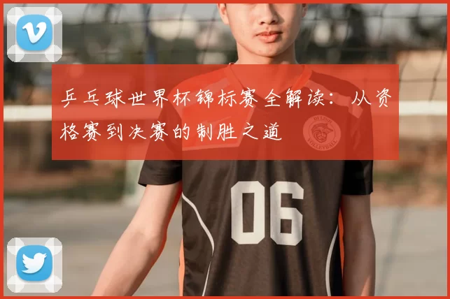 乒乓球世界杯锦标赛全解读：从资格赛到决赛的制胜之道