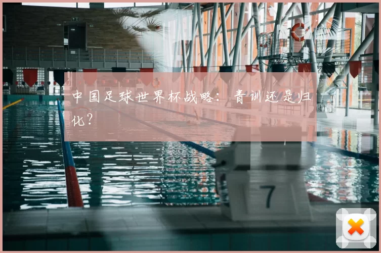 中国足球世界杯战略:青训还是归化?