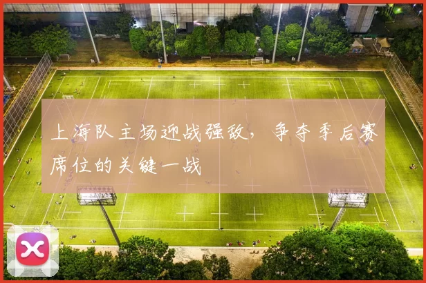 上海队主场迎战强敌,争夺季后赛席位的关键一战