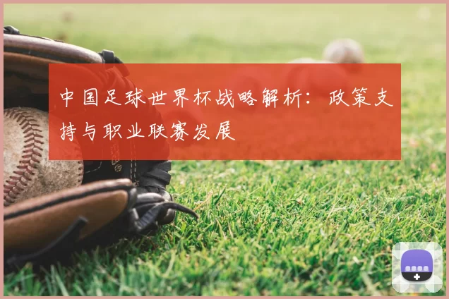 中国足球世界杯战略解析：政策支持与职业联赛发展