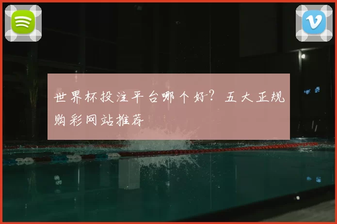 世界杯投注平台哪个好?五大正规购彩网站推荐