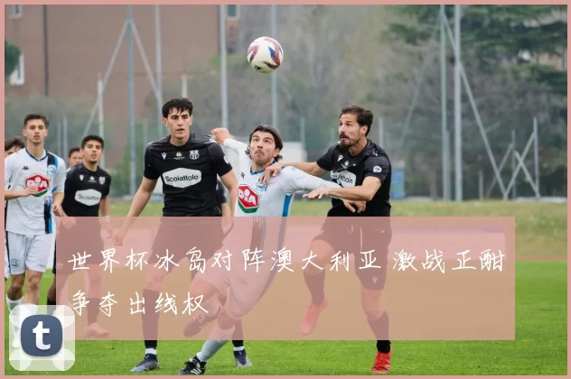 世界杯冰岛对阵澳大利亚 激战正酣争夺出线权