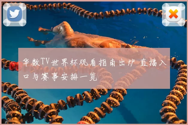 华数TV世界杯观看指南出炉 直播入口与赛事安排一览