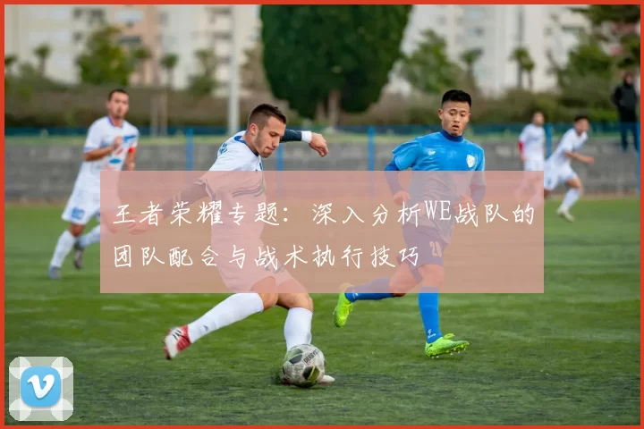 王者荣耀专题：深入分析WE战队的团队配合与战术执行技巧