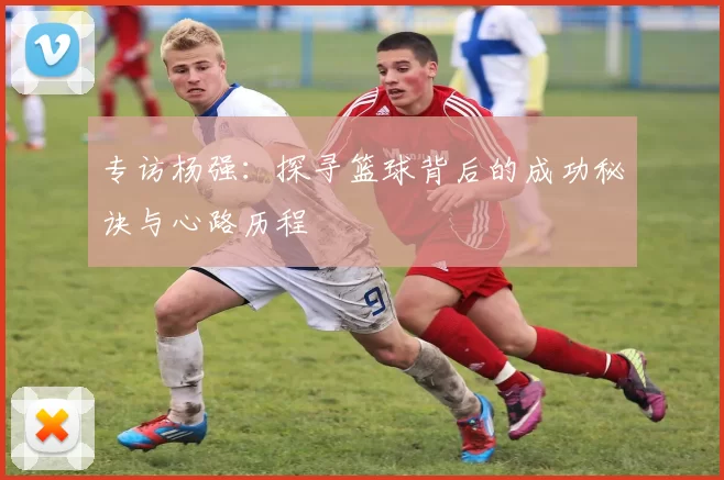 专访杨强：探寻篮球背后的成功秘诀与心路历程