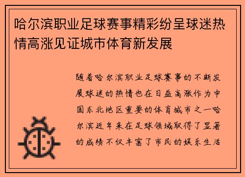 哈尔滨职业足球赛事精彩纷呈球迷热情高涨见证城市体育新发展
