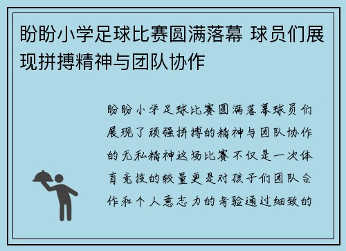 盼盼小学足球比赛圆满落幕 球员们展现拼搏精神与团队协作