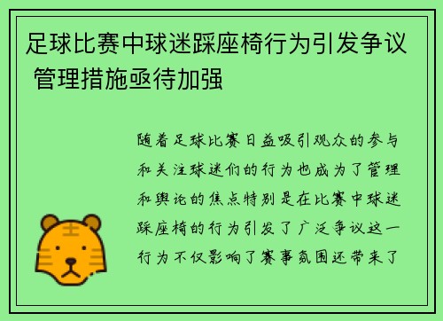 足球比赛中球迷踩座椅行为引发争议 管理措施亟待加强