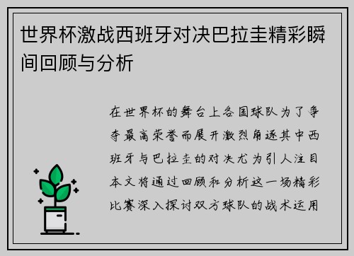 世界杯激战西班牙对决巴拉圭精彩瞬间回顾与分析